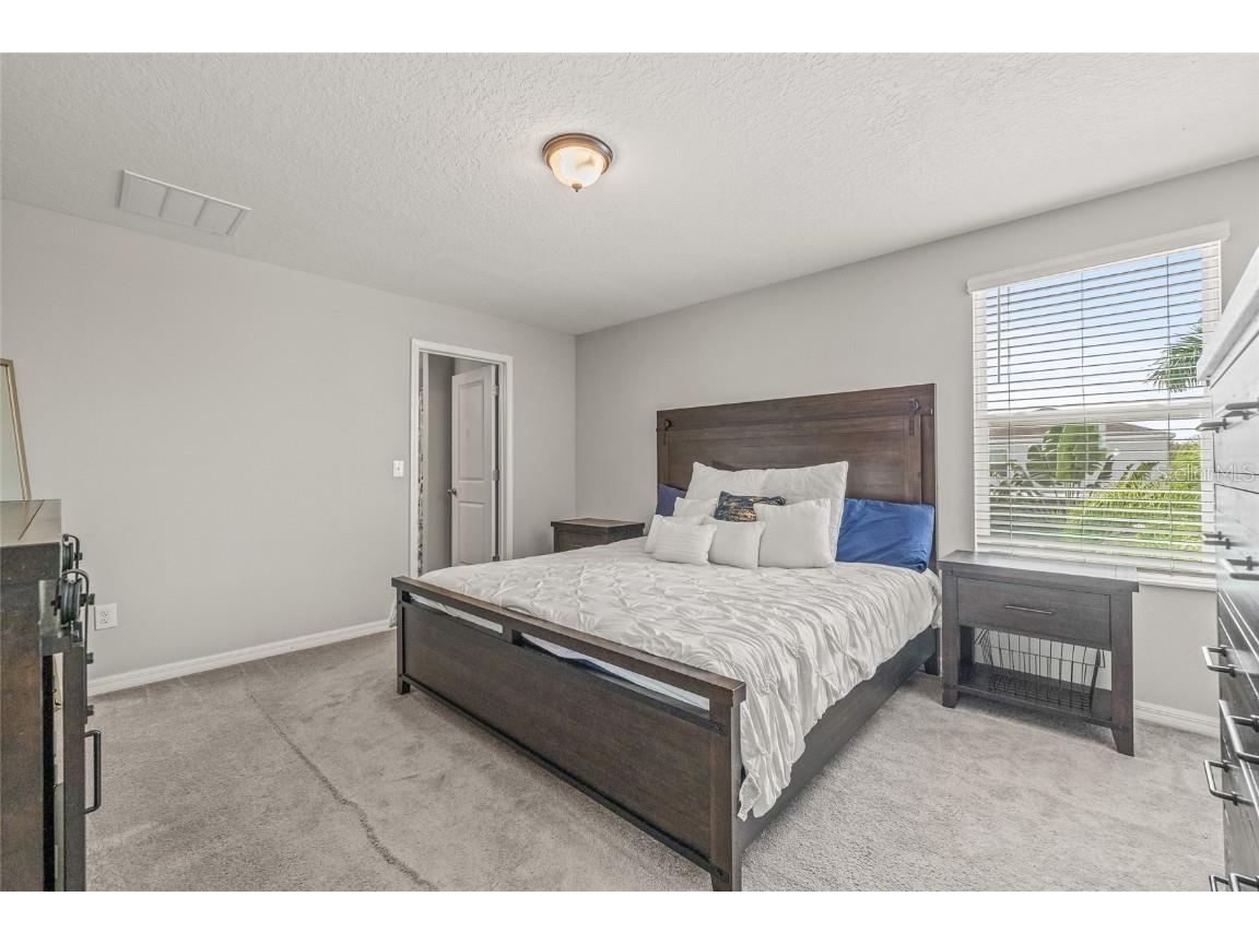 5017 Golden Fig Lane Wimauma FL 33598 TB8422864 image18