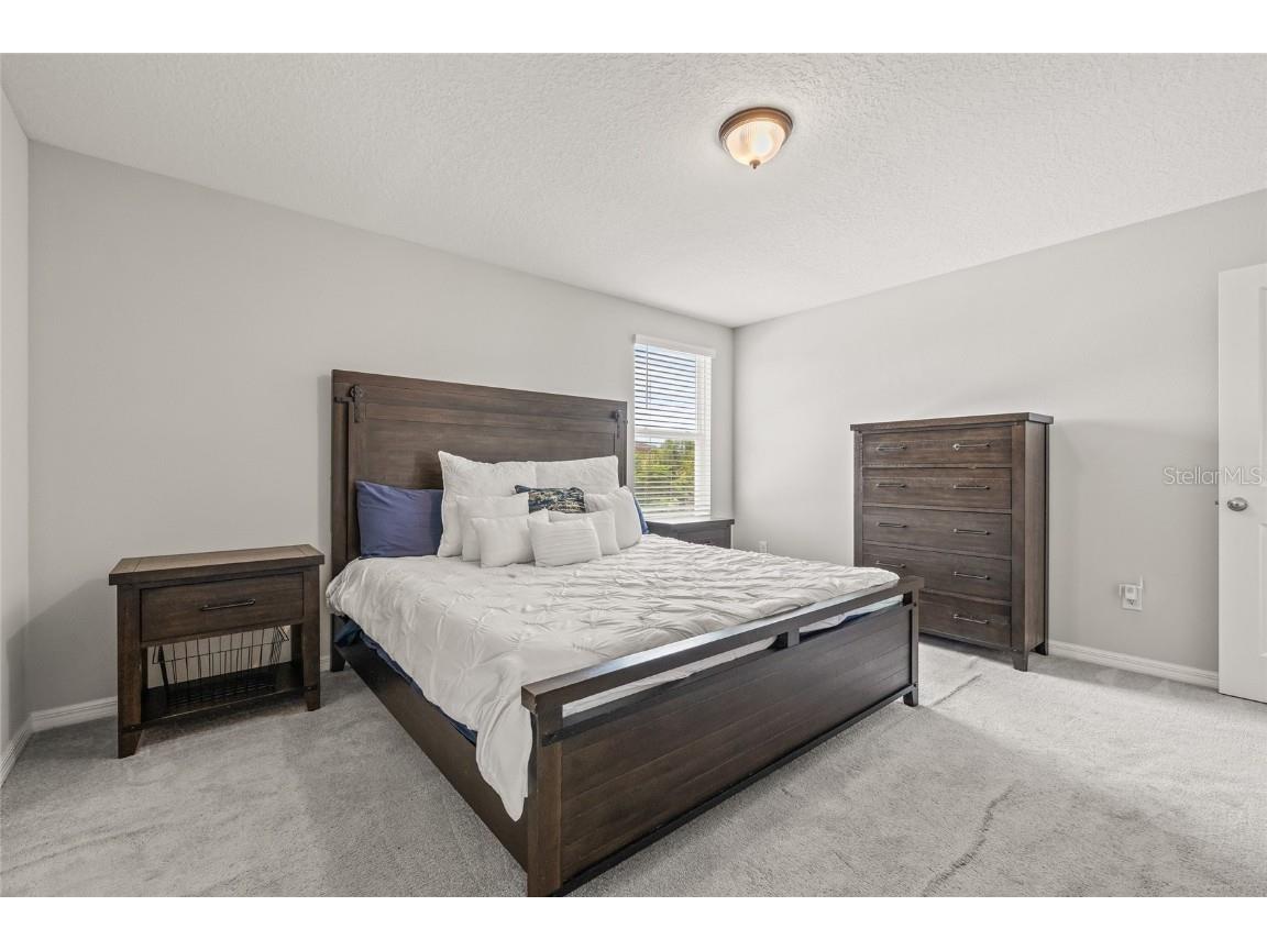 5017 Golden Fig Lane Wimauma FL 33598 TB8422864 image19