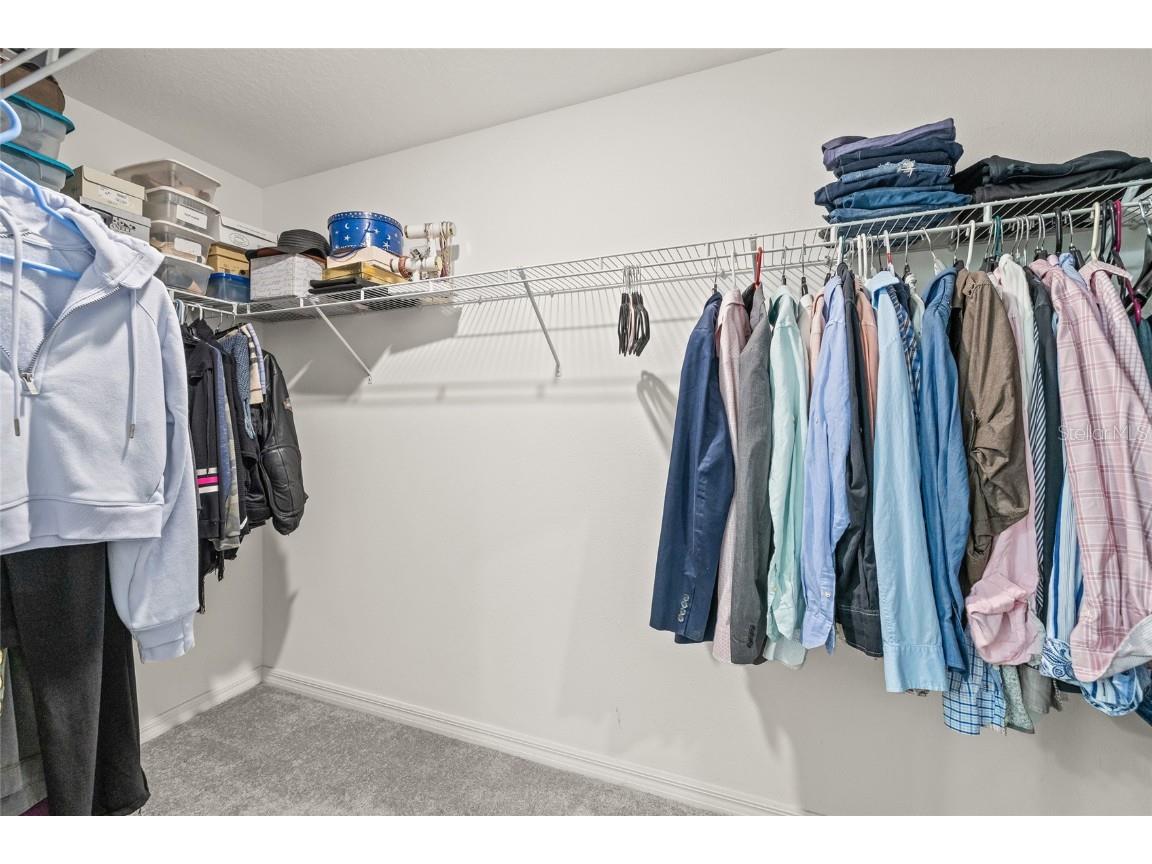 5017 Golden Fig Lane Wimauma FL 33598 TB8422864 image21