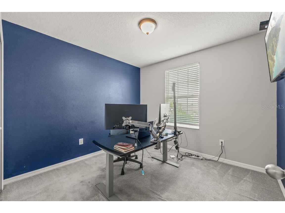 5017 Golden Fig Lane Wimauma FL 33598 TB8422864 image22