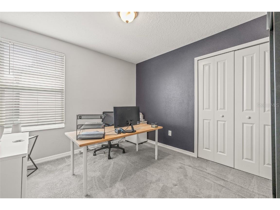 5017 Golden Fig Lane Wimauma FL 33598 TB8422864 image24