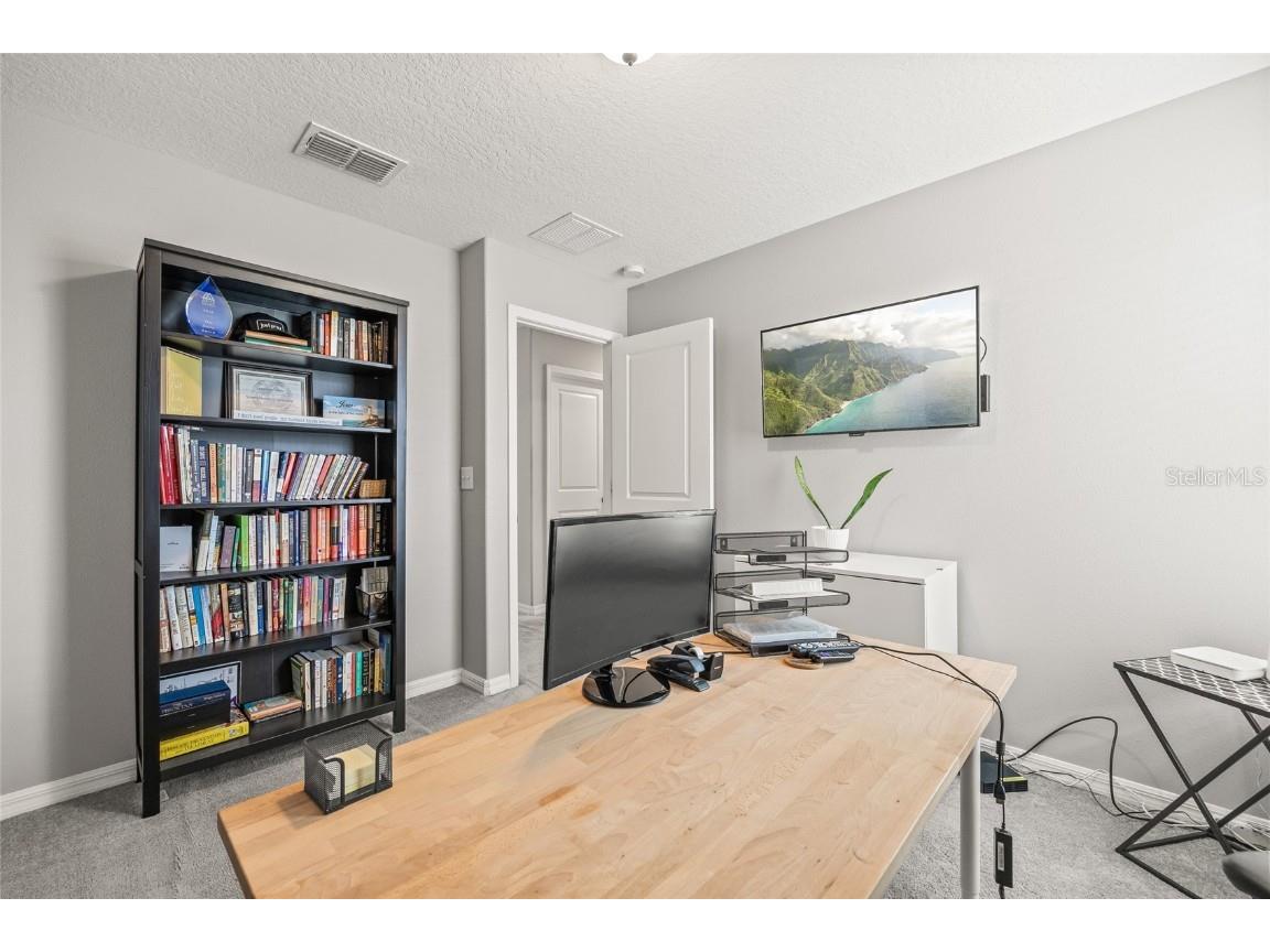 5017 Golden Fig Lane Wimauma FL 33598 TB8422864 image25