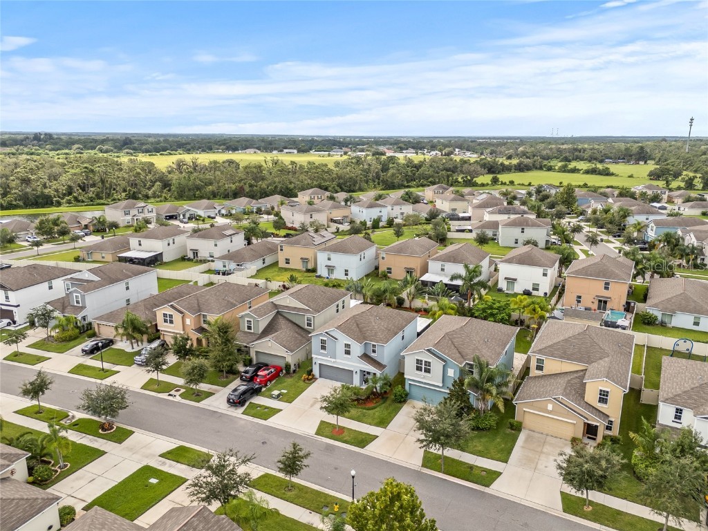 5017 Golden Fig Lane Wimauma FL 33598 TB8422864 image36