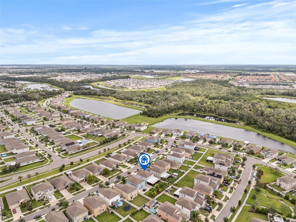 5017 Golden Fig Lane Wimauma FL 33598 TB8422864 image38