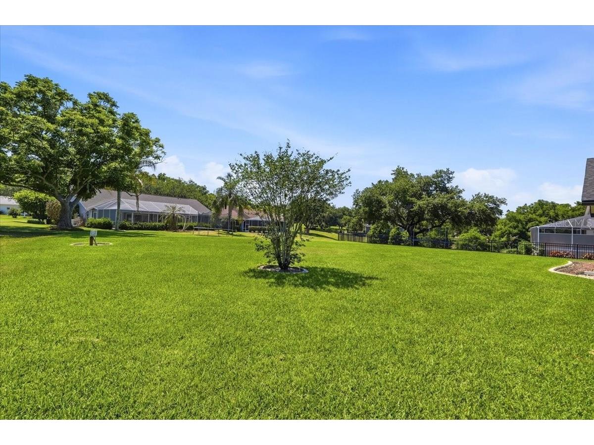 5017 Juliana Reserve Drive Auburndale FL 33823 P4938755 image55