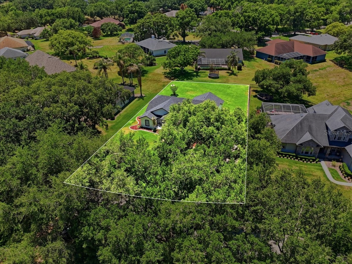 5017 Juliana Reserve Drive Auburndale FL 33823 P4938755 image68