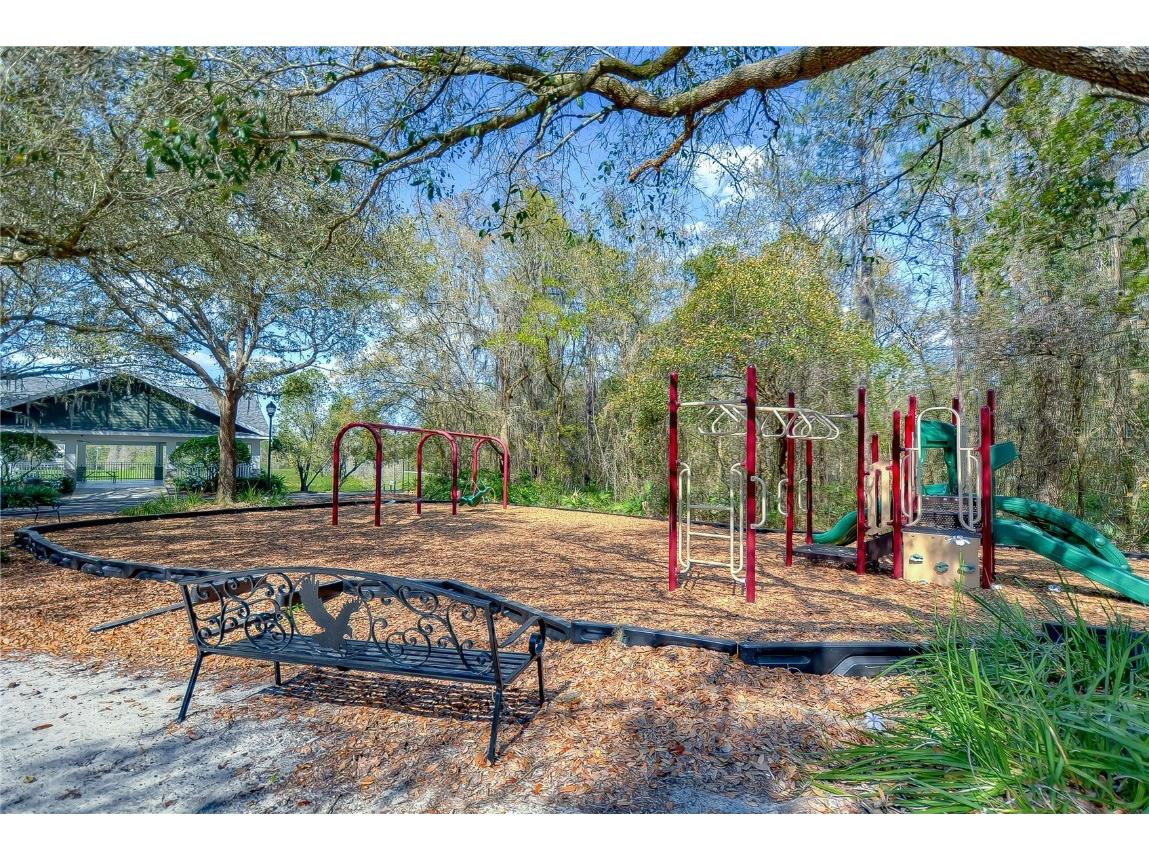 5017 Muir Way Lithia FL 33547 TB8380786 image53