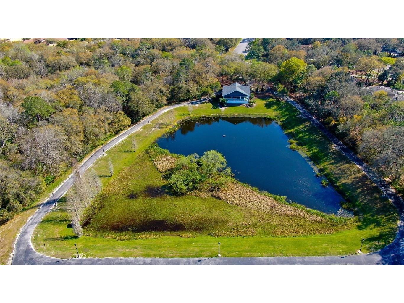 5017 Muir Way Lithia FL 33547 TB8380786 image58