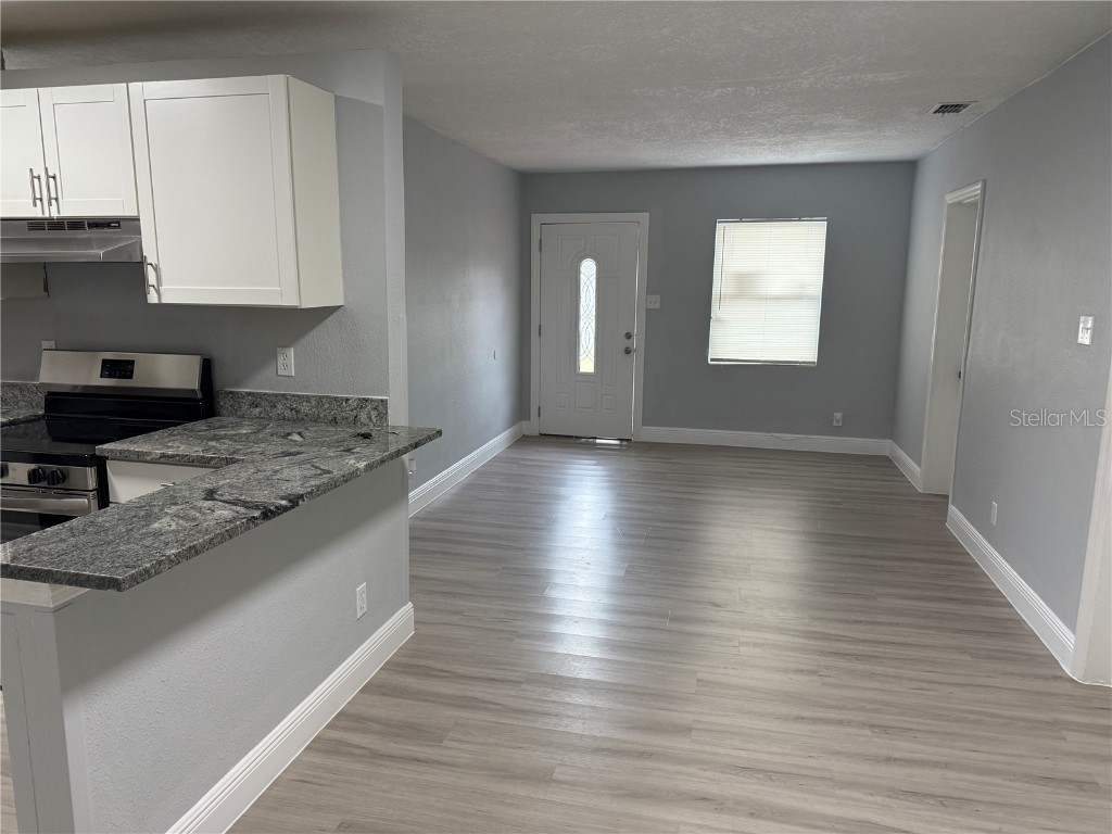 5017 Steyr Street Orlando FL 32819 S5124252 image6