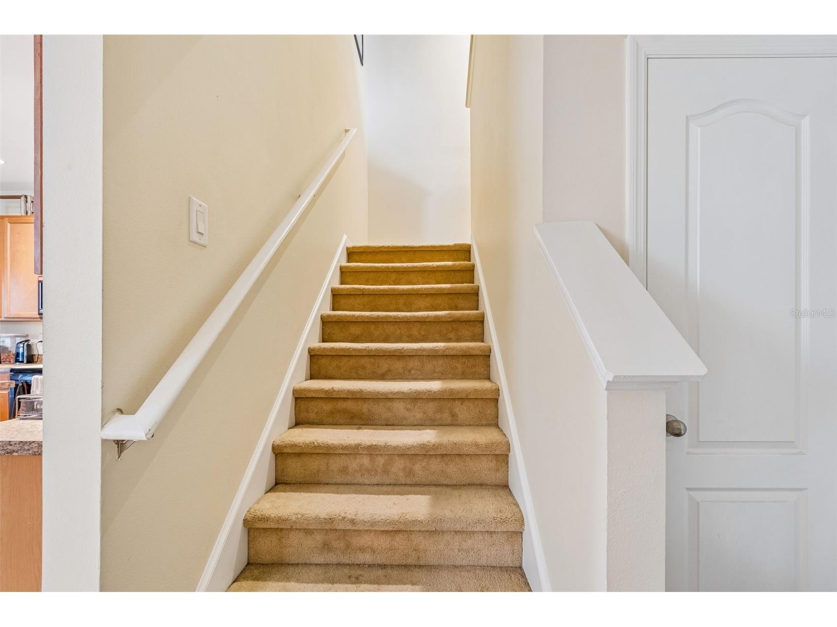 5017 White Sanderling Court Tampa FL 33619 TB8514465 image22