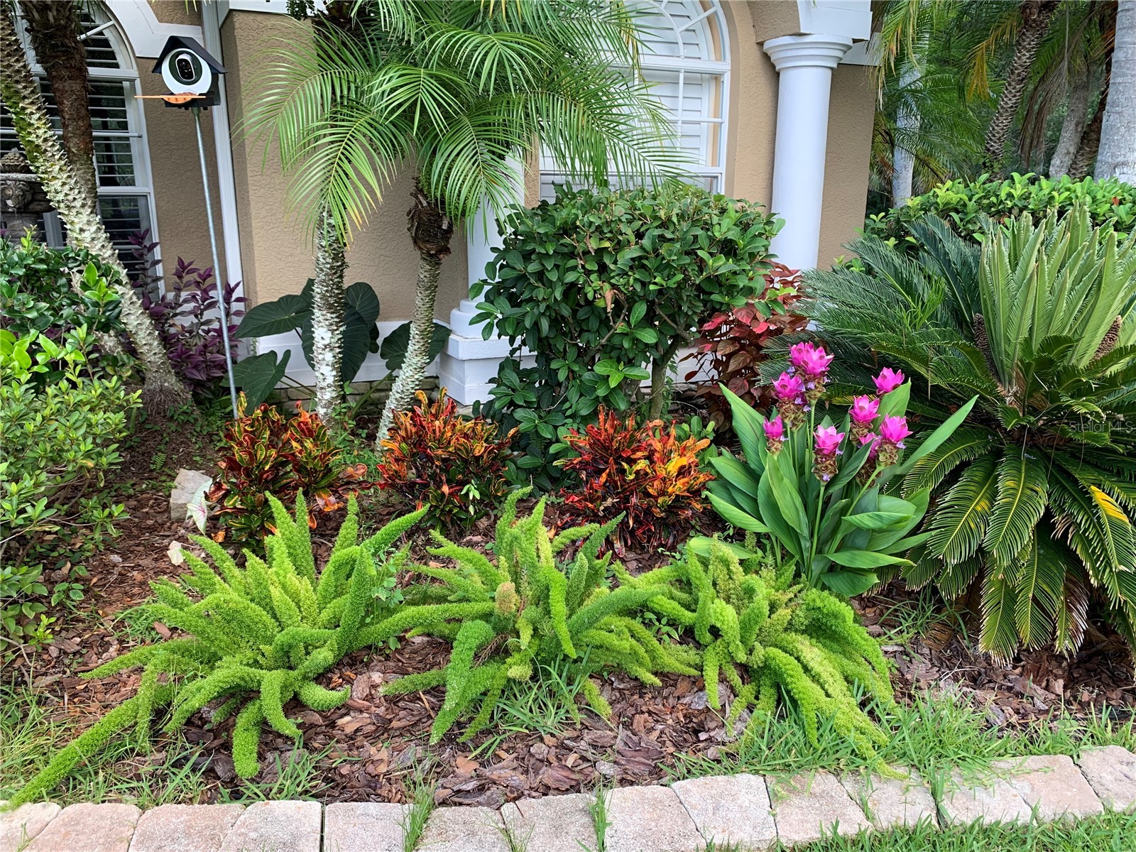 5018 Ashington Landing Drive Tampa FL 33647 TB8518344 image70