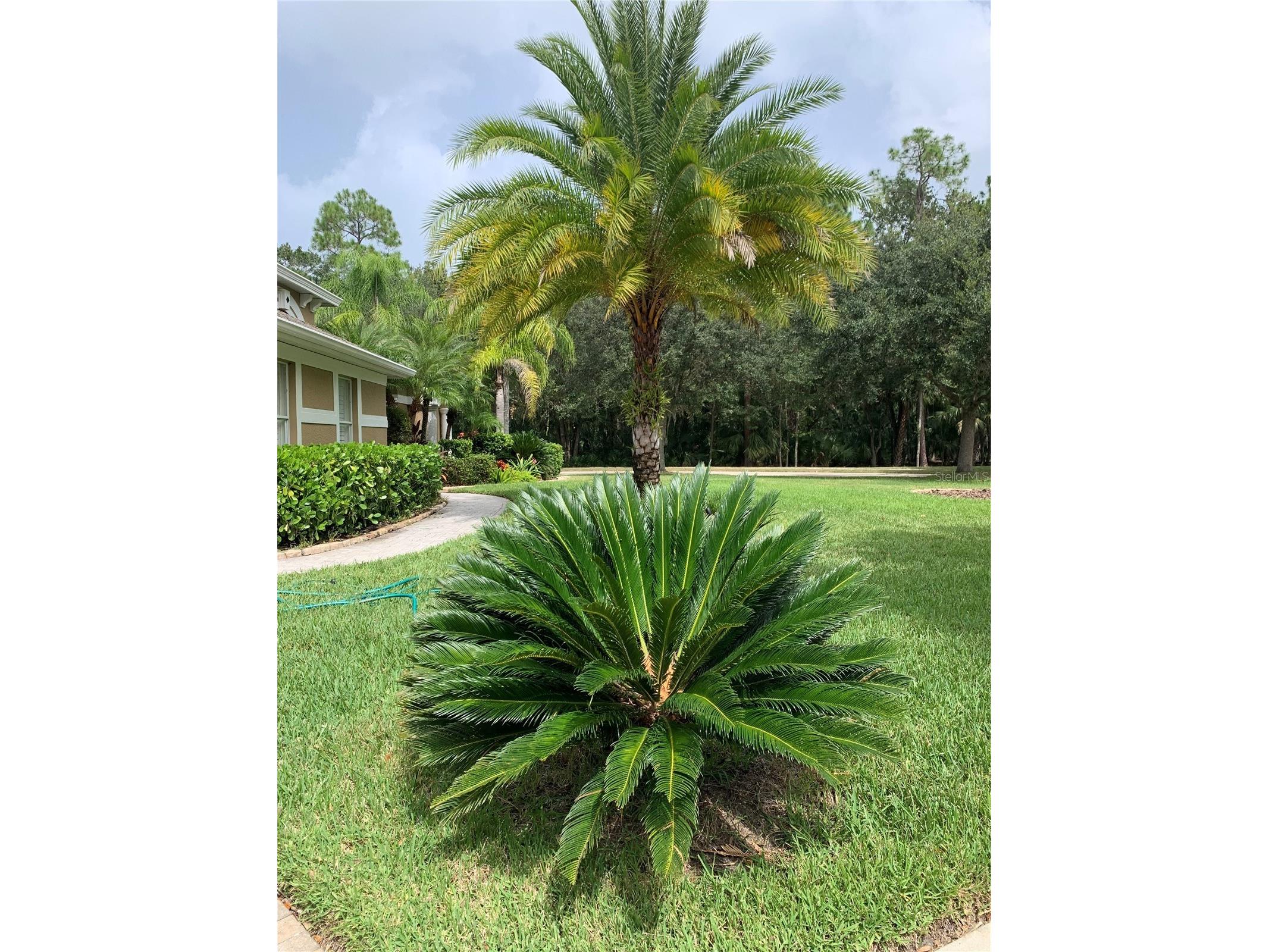 5018 Ashington Landing Drive Tampa FL 33647 TB8518344 image71