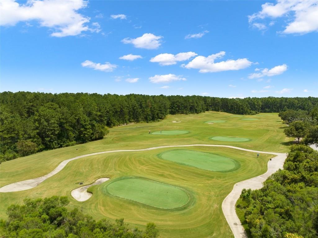 5018 Elm Leaf Drive Brooksville FL 34601 W7879004 image52