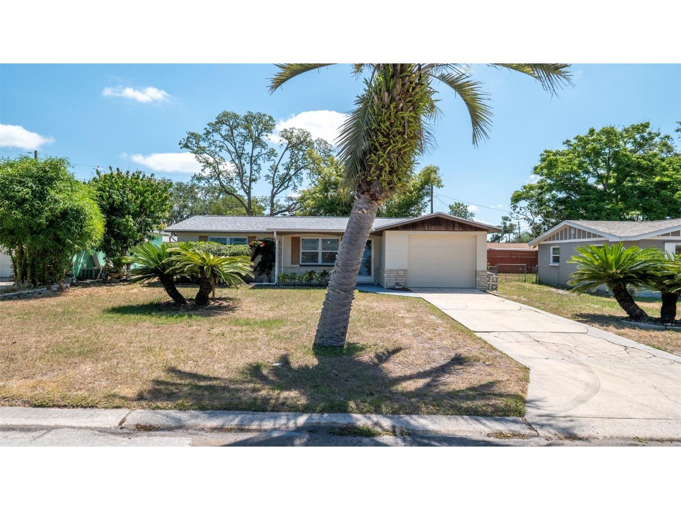 5018 Sherwood Drive New Port Richey FL 34652 W7875124 image1