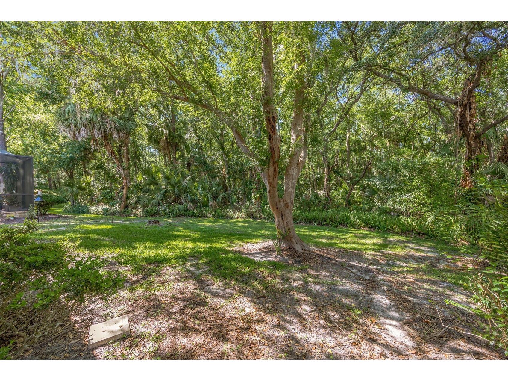 5018 Sterling Manor Drive Tampa FL 33647 TB8510470 image2