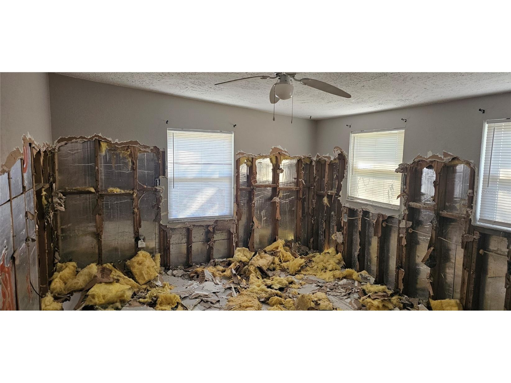 5019 Avery Road New Port Richey FL 34652 TB8454441 image14