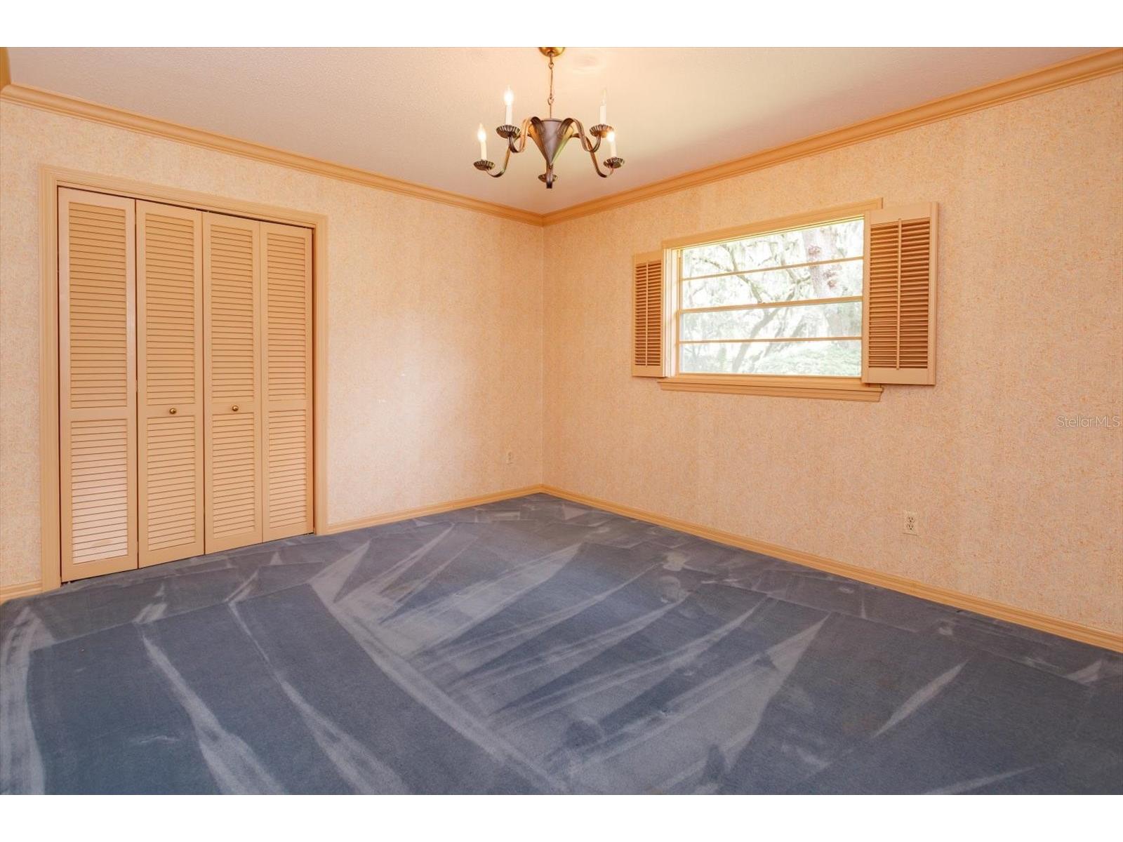 5019 Gran Lac Avenue Orlando FL 32812 - LAKE CONWAY O6424821 image34