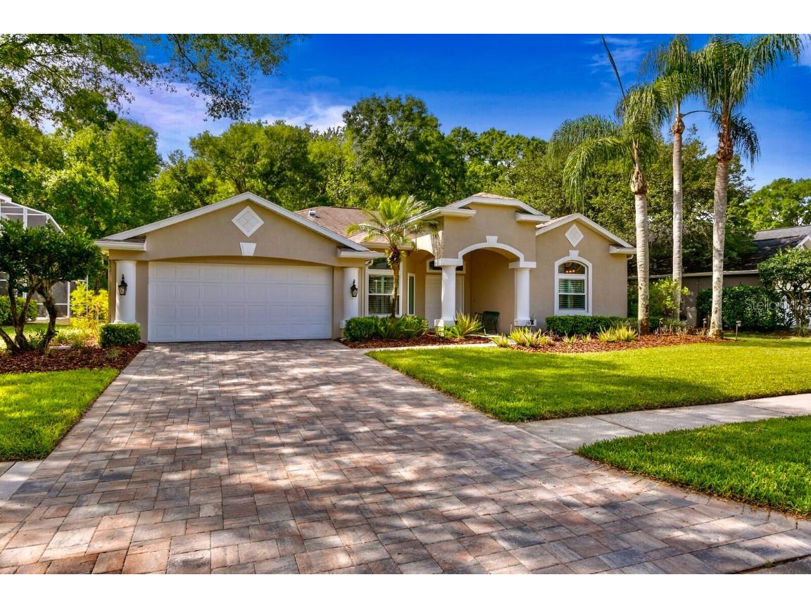 5019 Southampton Circle Tampa FL 33647 T3437653 image1