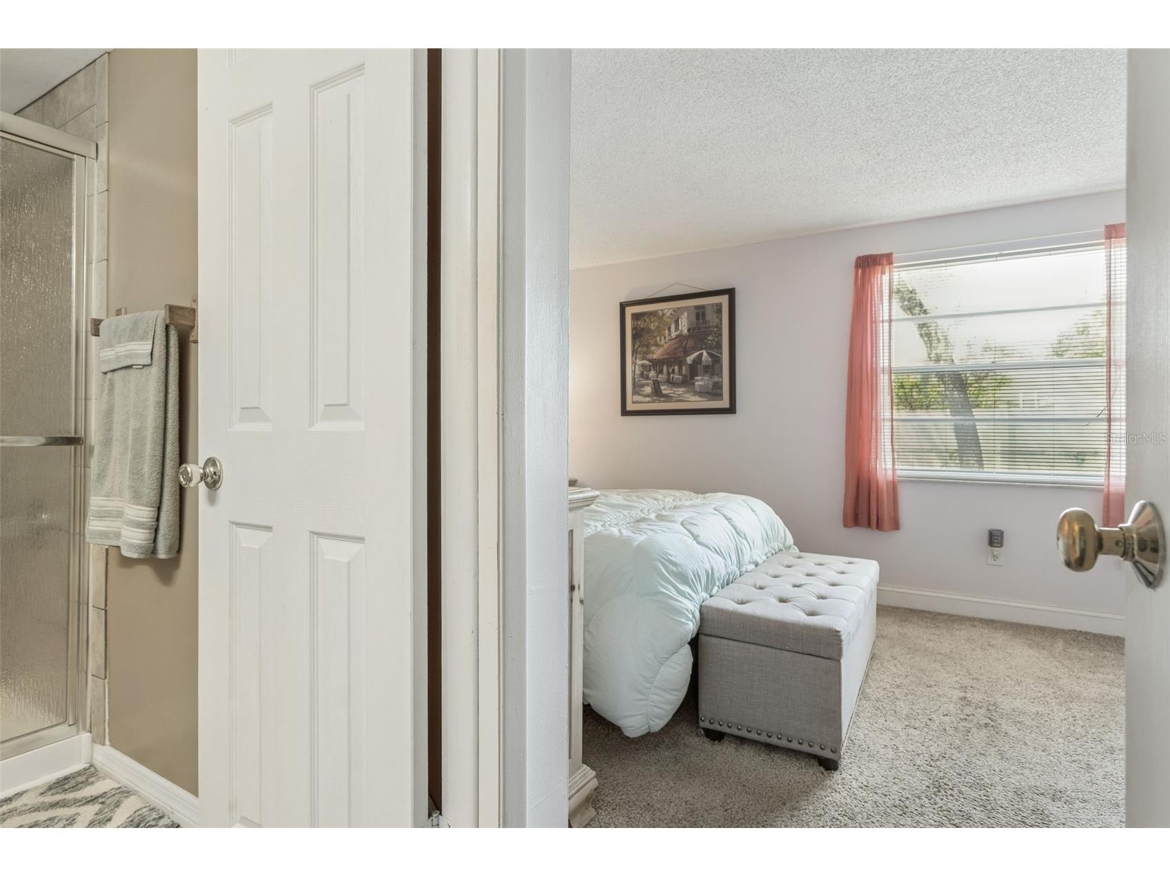 502 Avocado Circle Brandon FL 33510 TB8492194 image29