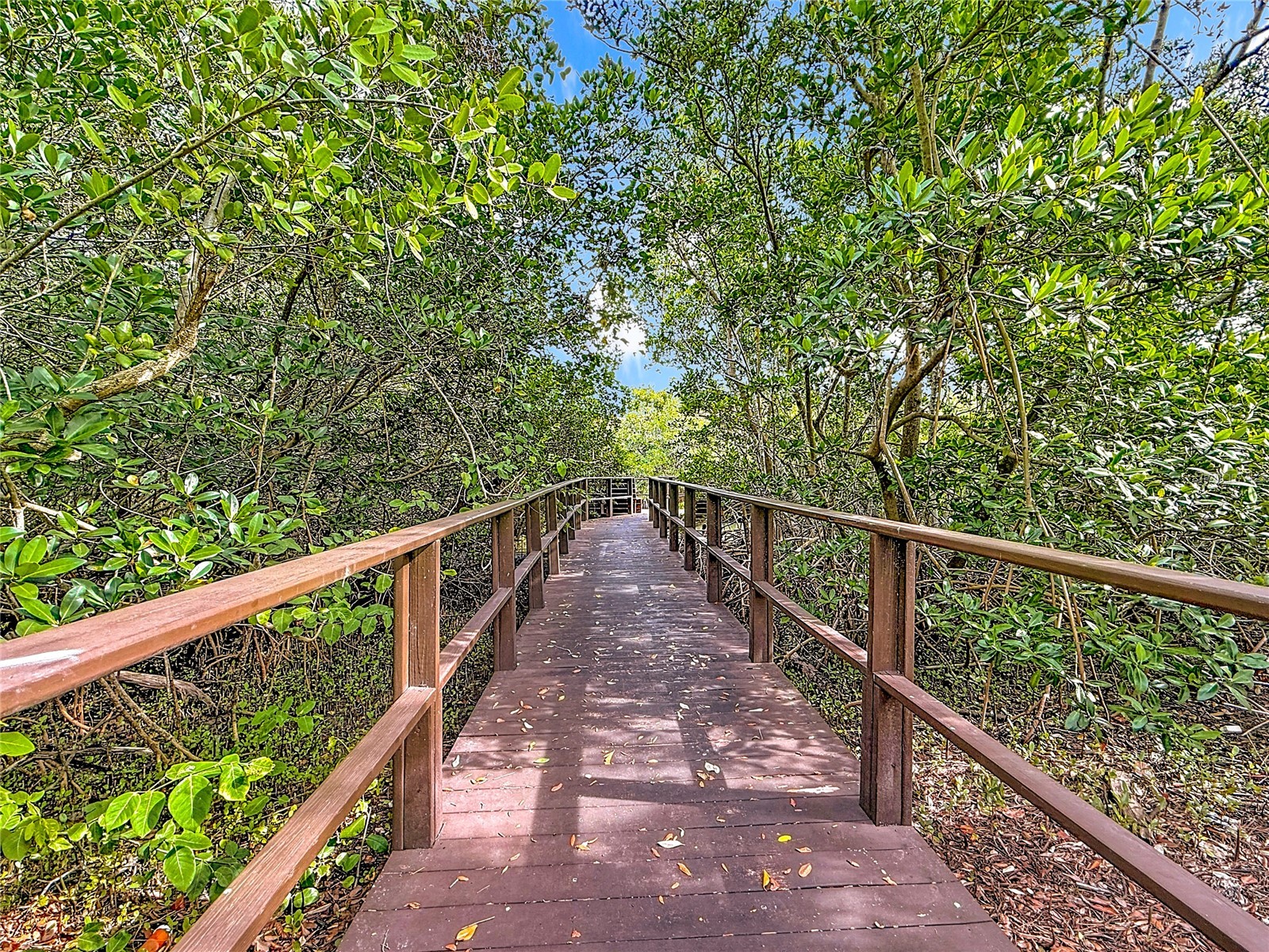 502 Bough Avenue Clearwater FL 33760 TB8458029 image32
