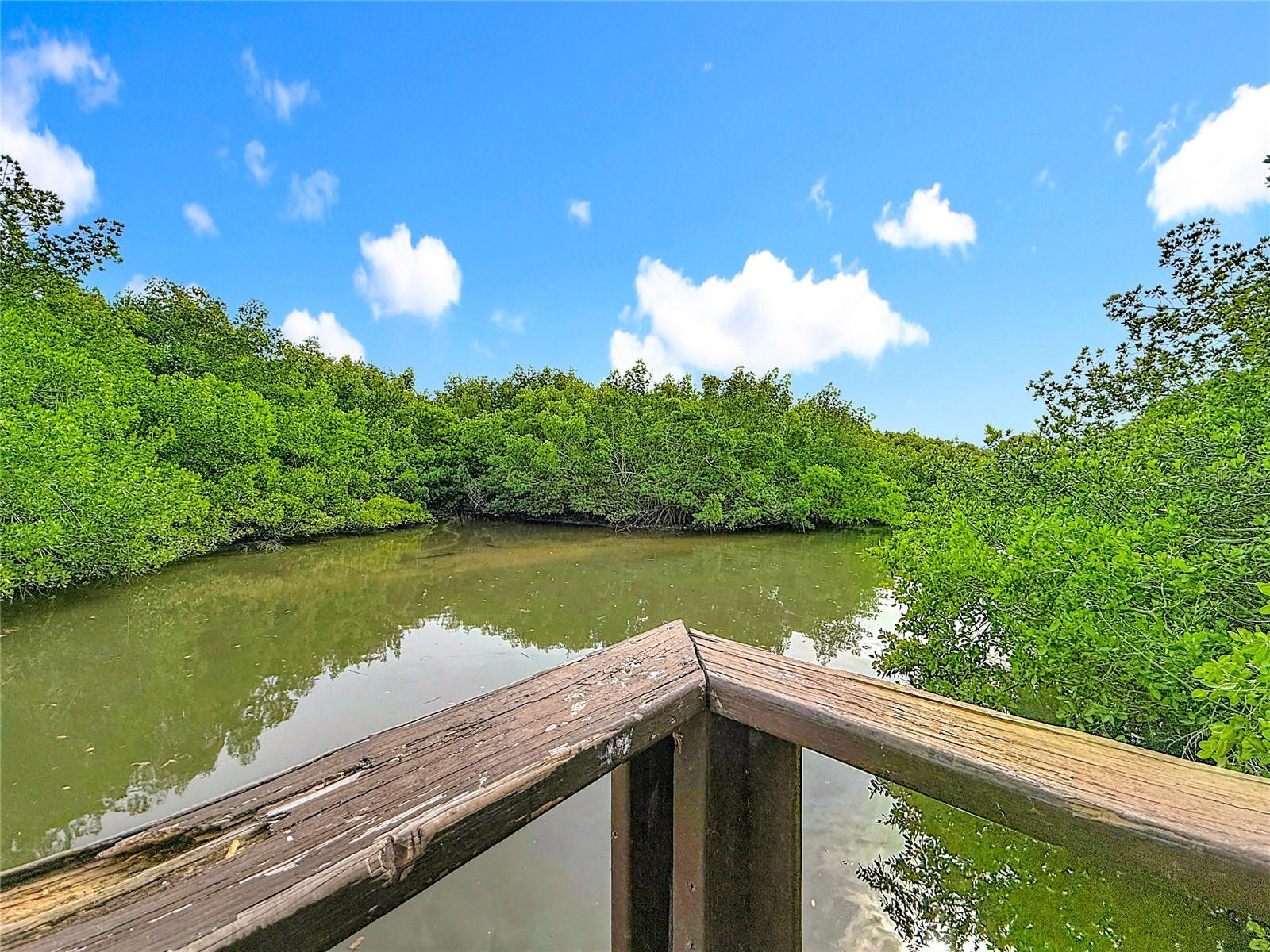 502 Bough Avenue Clearwater FL 33760 TB8458029 image33