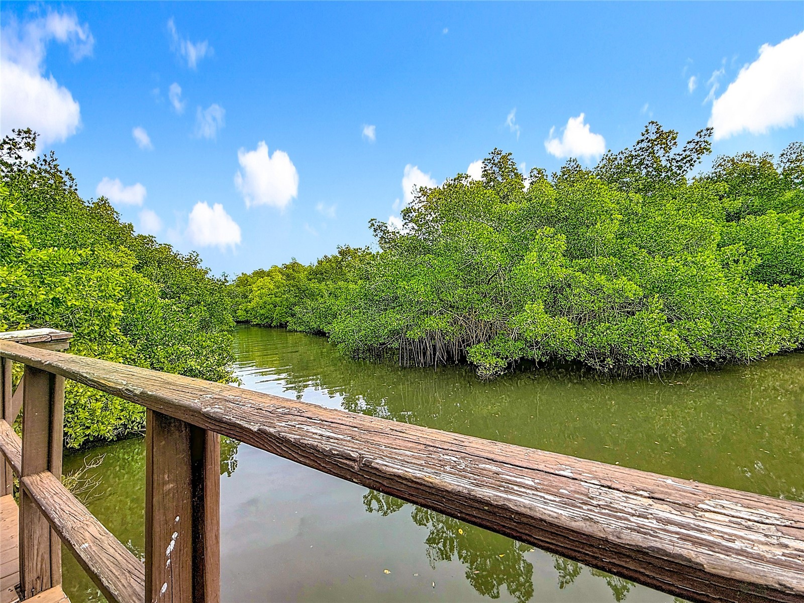 502 Bough Avenue Clearwater FL 33760 TB8458029 image34