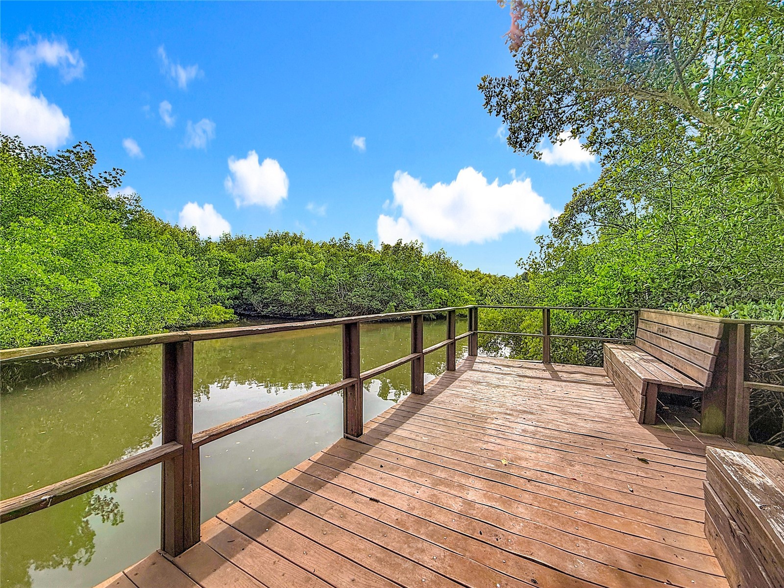 502 Bough Avenue Clearwater FL 33760 TB8458029 image35