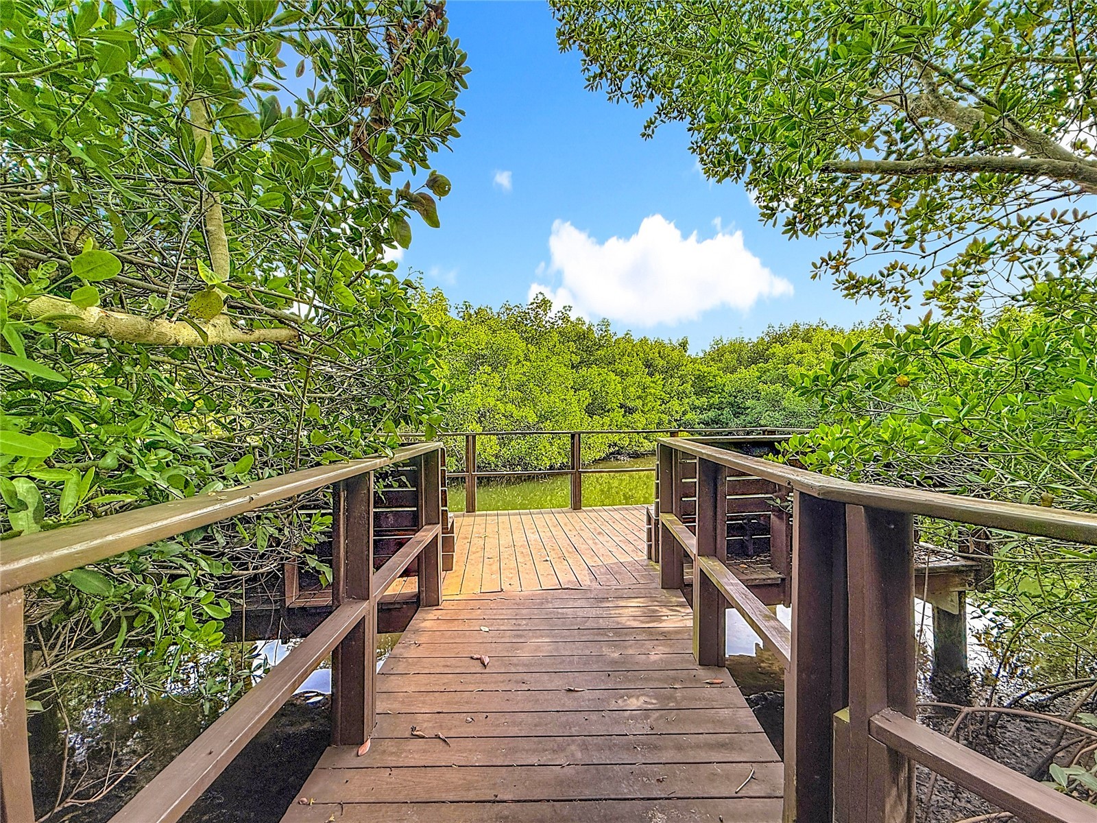502 Bough Avenue Clearwater FL 33760 TB8458029 image36