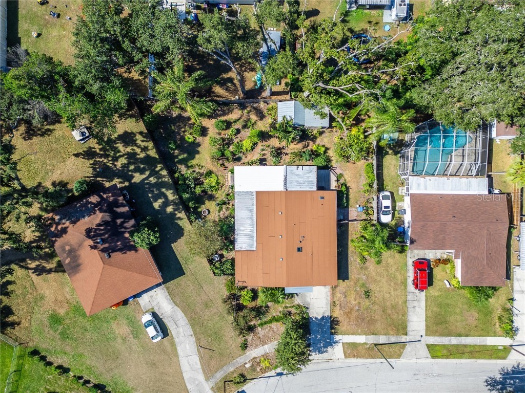 502 Brenda Drive Brandon FL 33510 TB8443794 image4