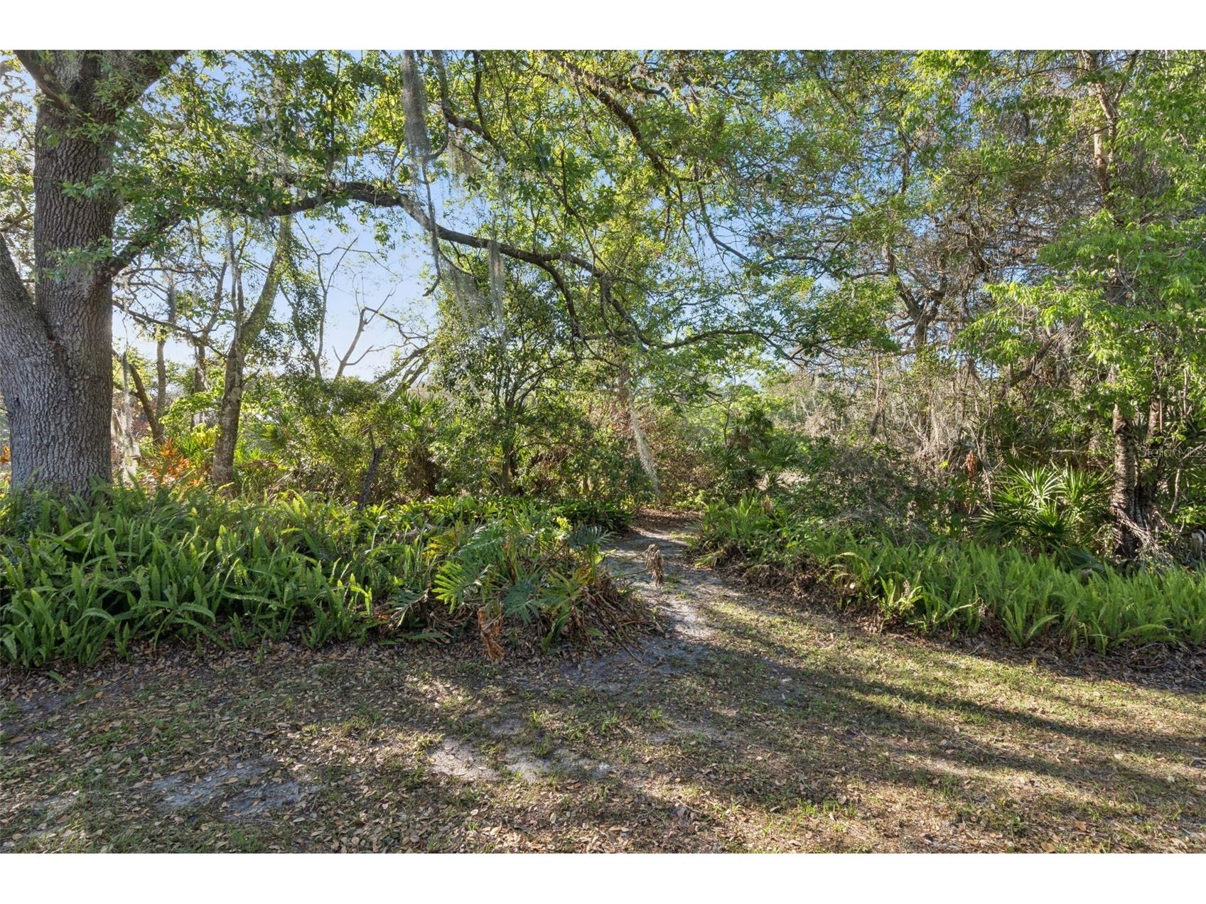 502 Club Dr Winter Springs FL 32708 O6390697 image27