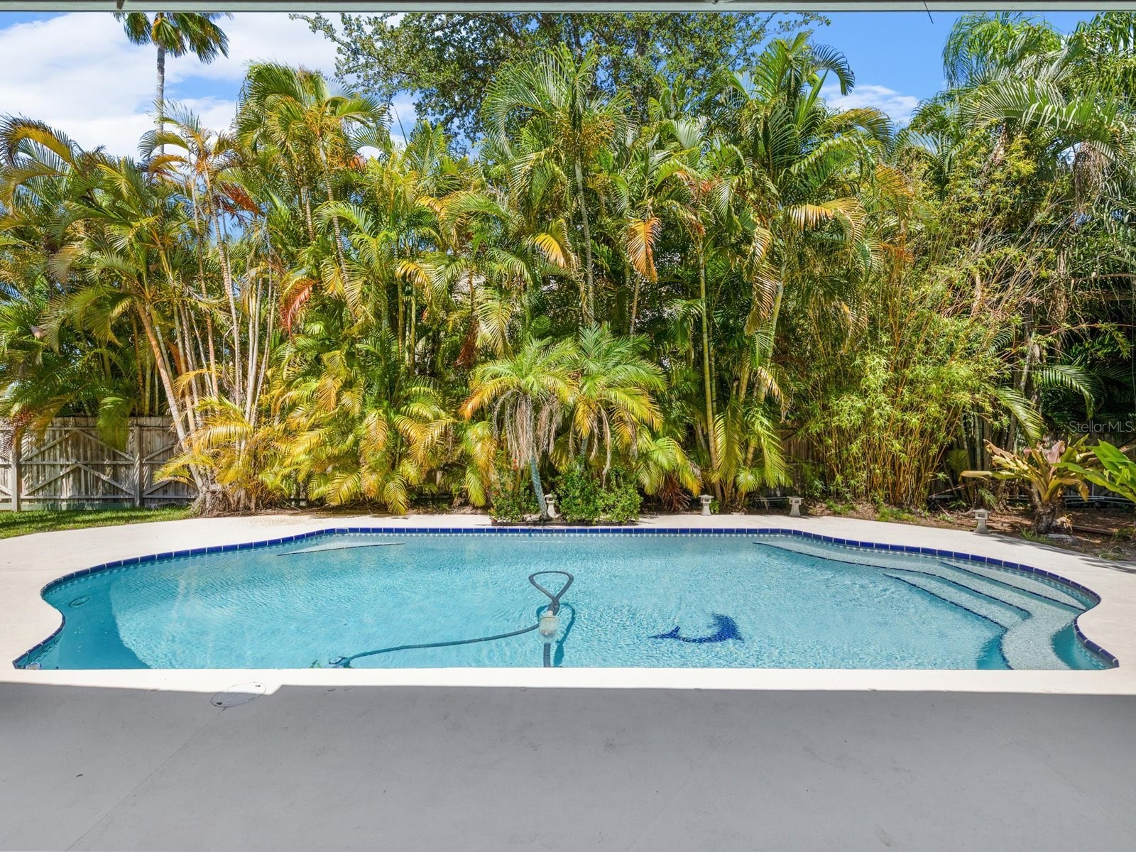 502 Florida Boulevard Crystal Beach FL 34681 TB8516664 image29