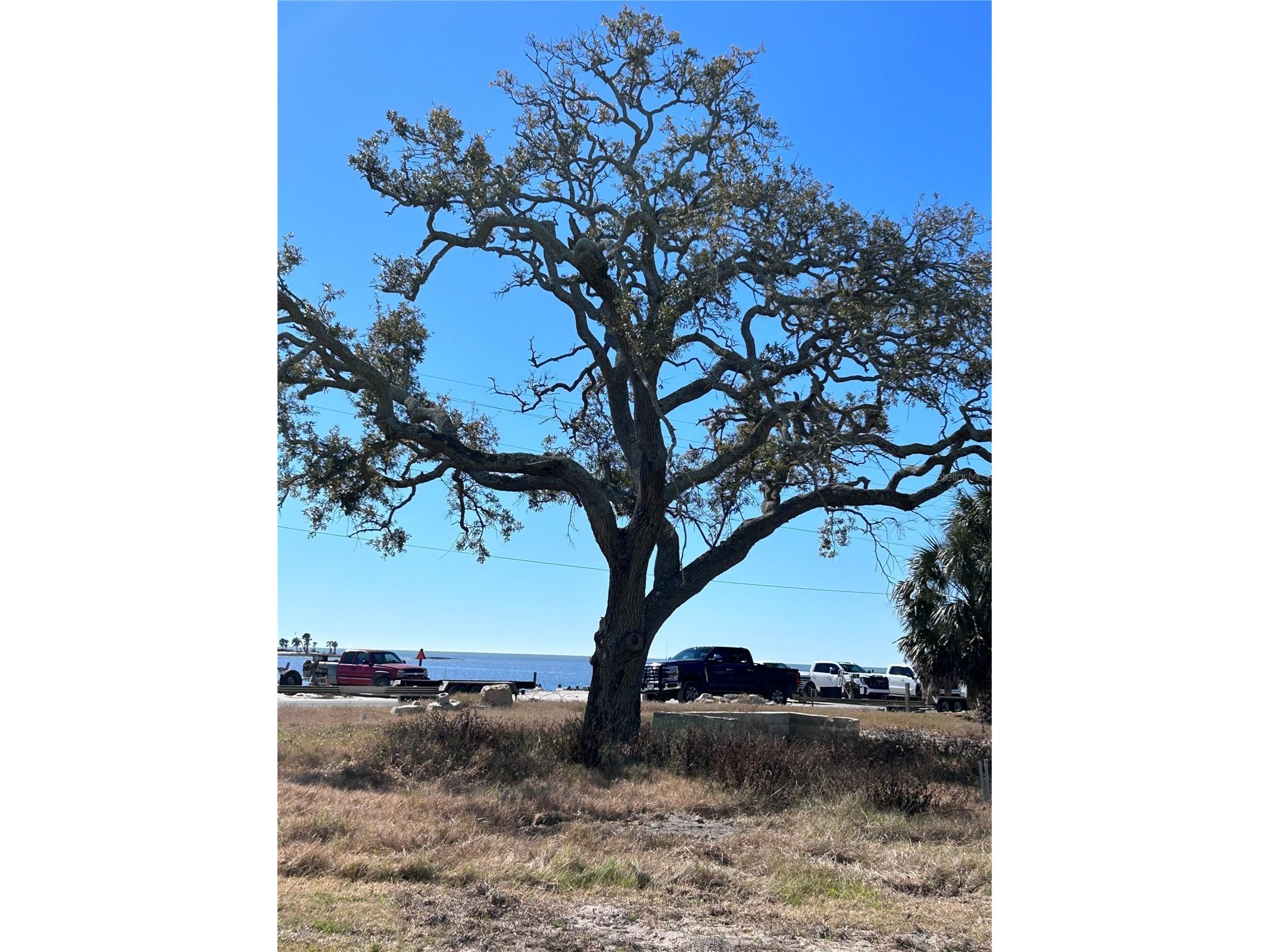 502 Main Street #207 Horseshoe Beach FL 32648 GC536909 image43