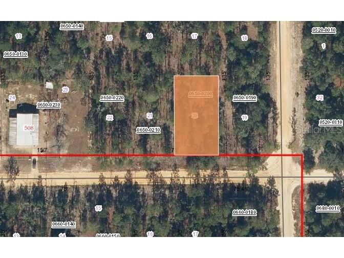 502 Nova Scotia Street Interlachen FL 32148 OM699791 image1