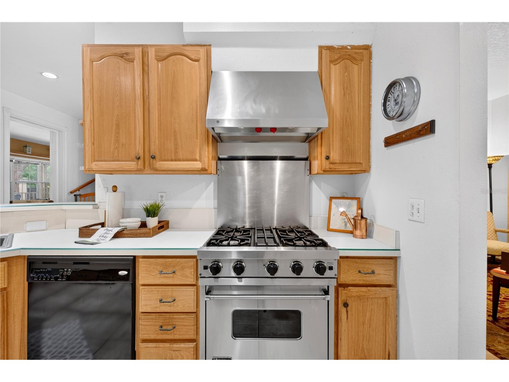 502 Palm Drive Winter Garden FL 34787 O6415316 image13