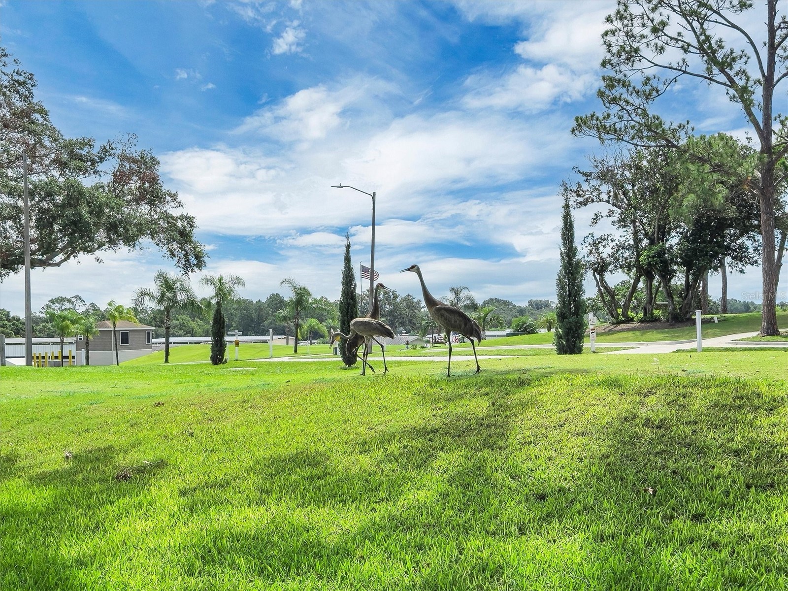 502 Par Pines Boulevard Davenport FL 33837 O6325762 image3