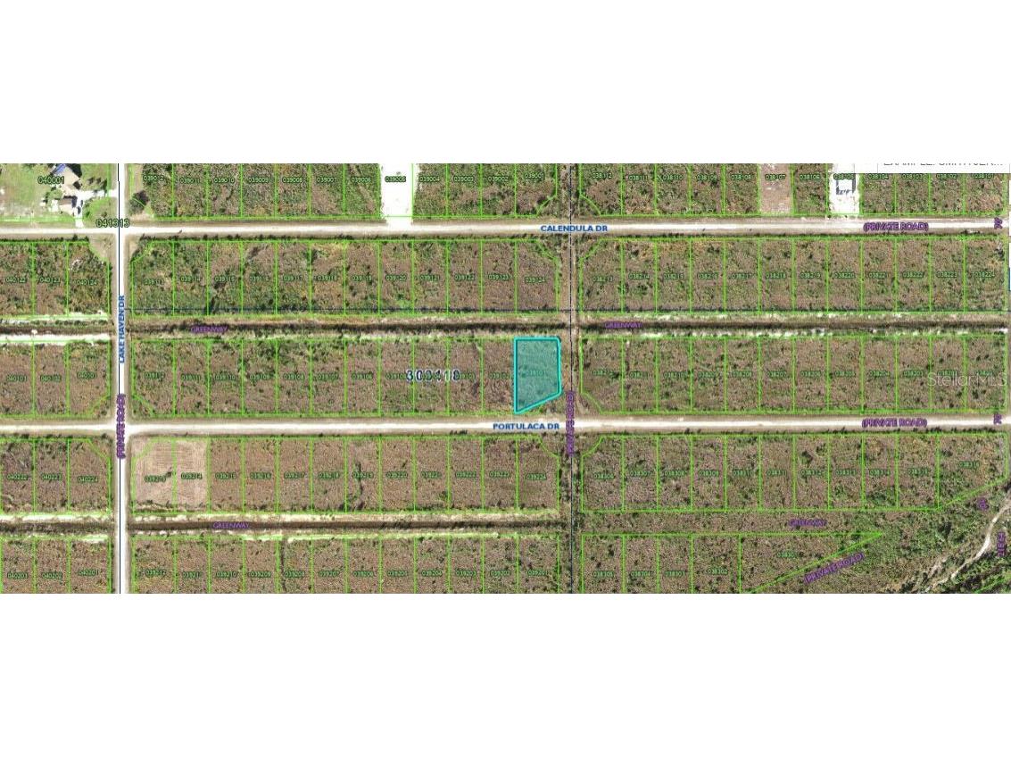 502 Portulaca Drive Indian Lake Estates FL 33855 O6312602 image2