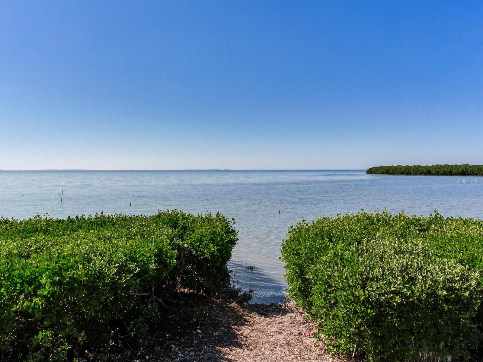 502 S Florida Avenue #124 Tarpon Springs FL 34689 - GULF OF MEXICO TB8519570 image6