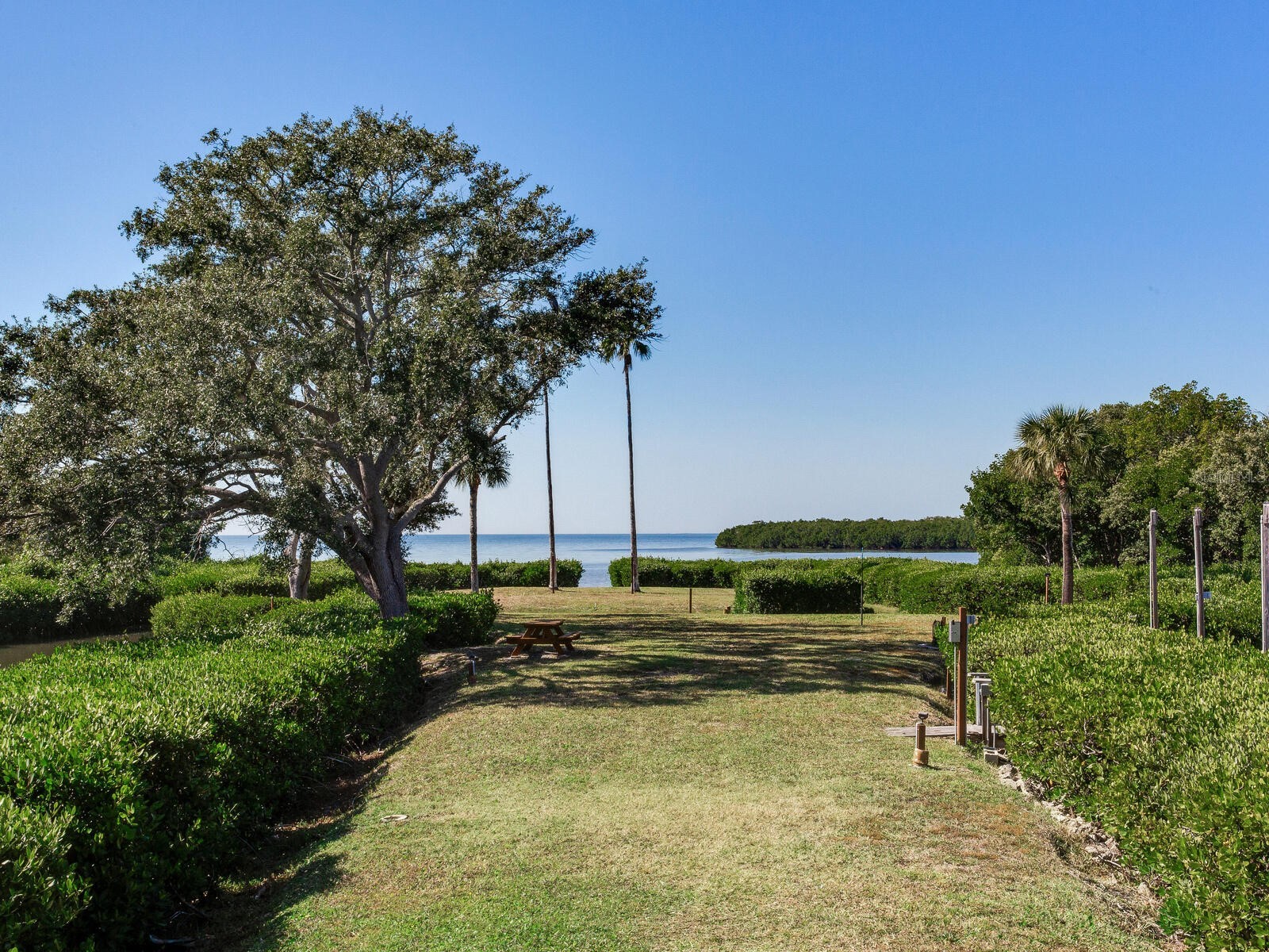 502 S Florida Avenue #124 Tarpon Springs FL 34689 - GULF OF MEXICO TB8519570 image83