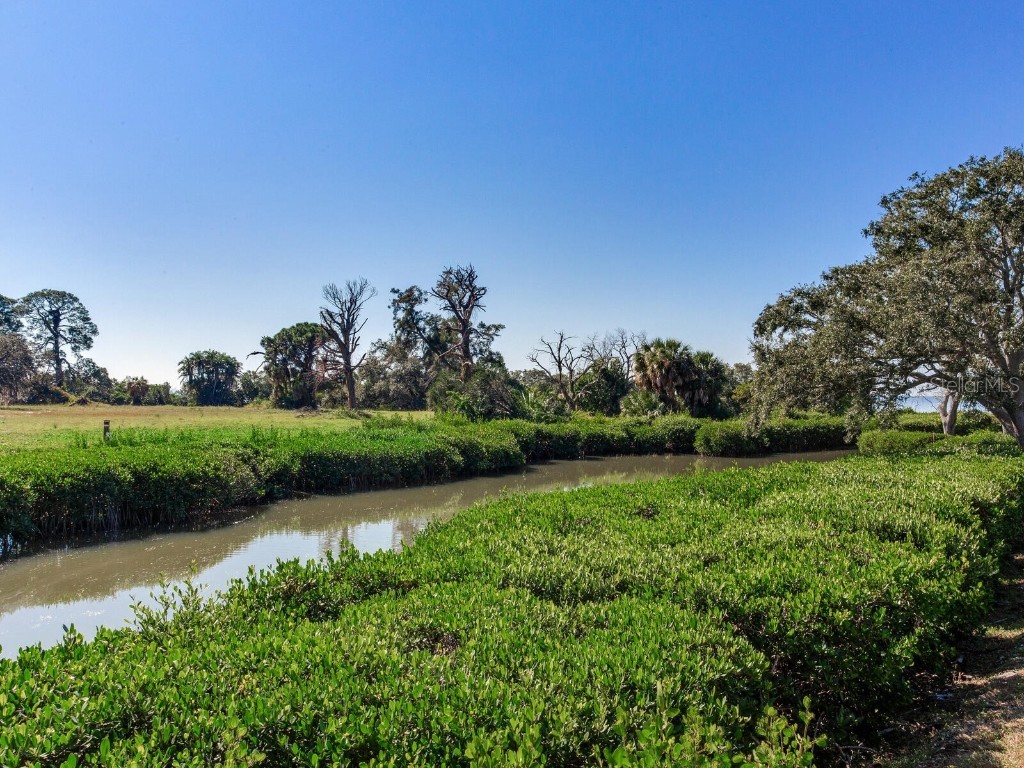 502 S Florida Avenue #145 Tarpon Springs FL 34689 TB8449998 image60