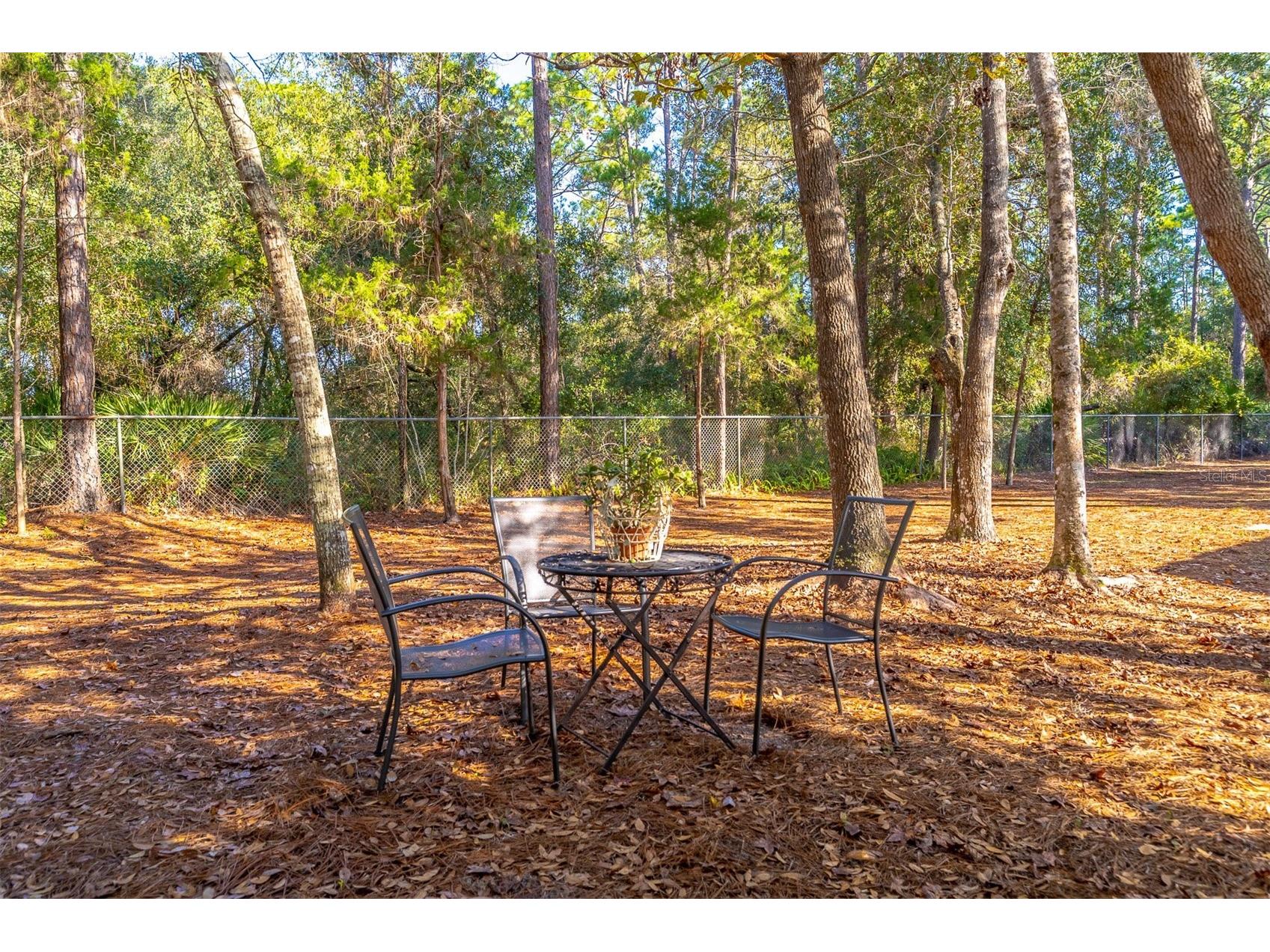 502 Timberlane Court Lake Mary FL 32746 O6381320 image33