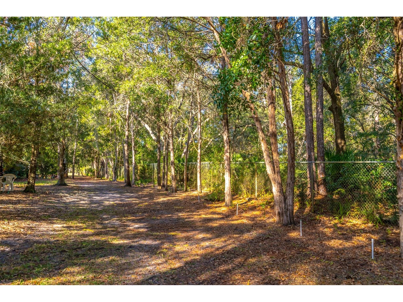 502 Timberlane Court Lake Mary FL 32746 O6381320 image36