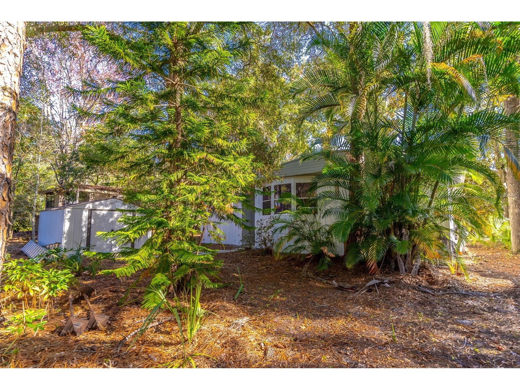 502 Timberlane Court Lake Mary FL 32746 O6381320 image40