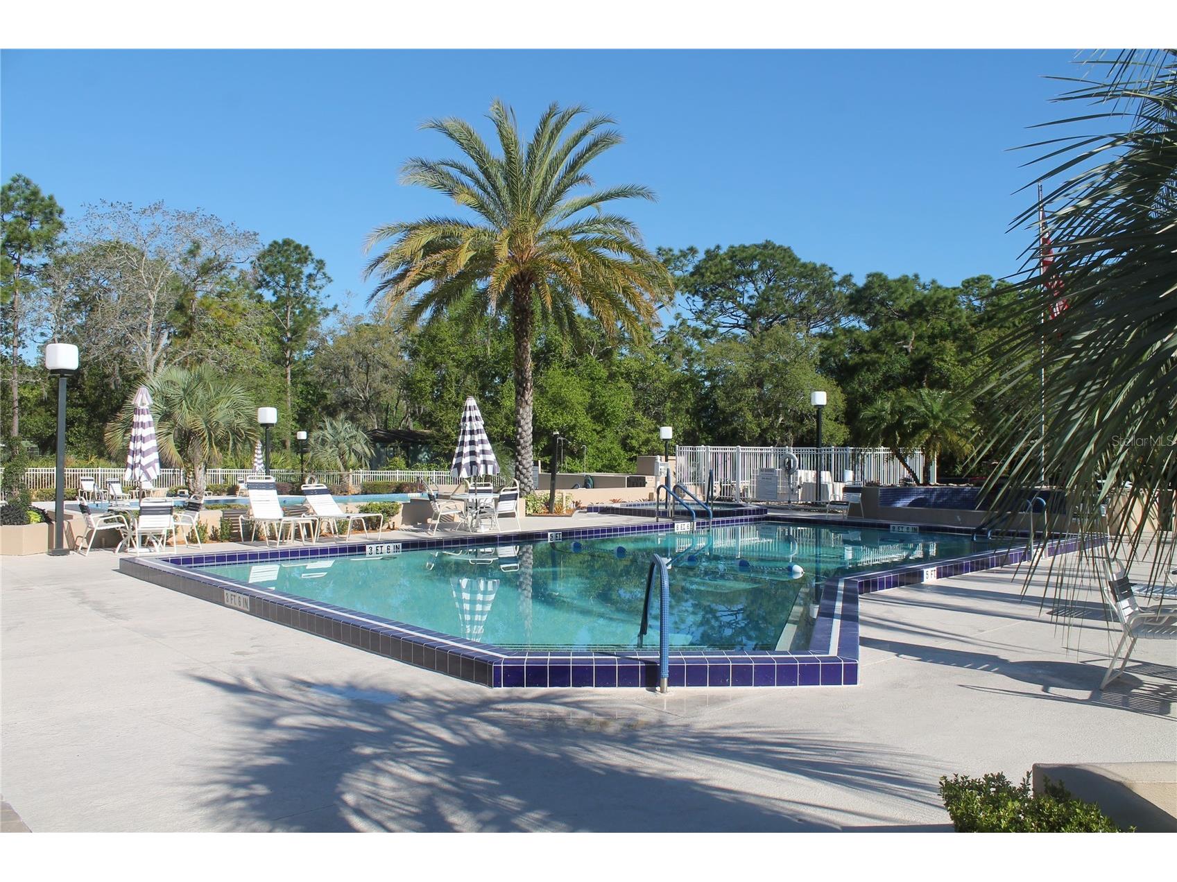 502 Timberlane Court Lake Mary FL 32746 O6381320 image54