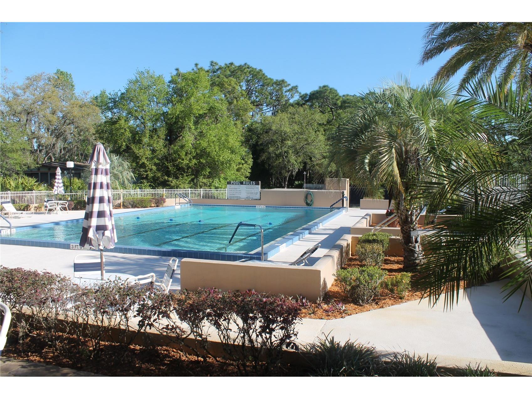 502 Timberlane Court Lake Mary FL 32746 O6381320 image56