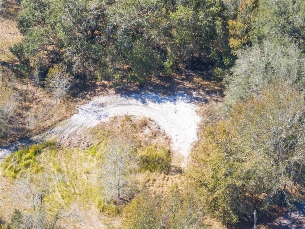 502 Wildlife Trail Lakeland FL 33809 L4953011 image4