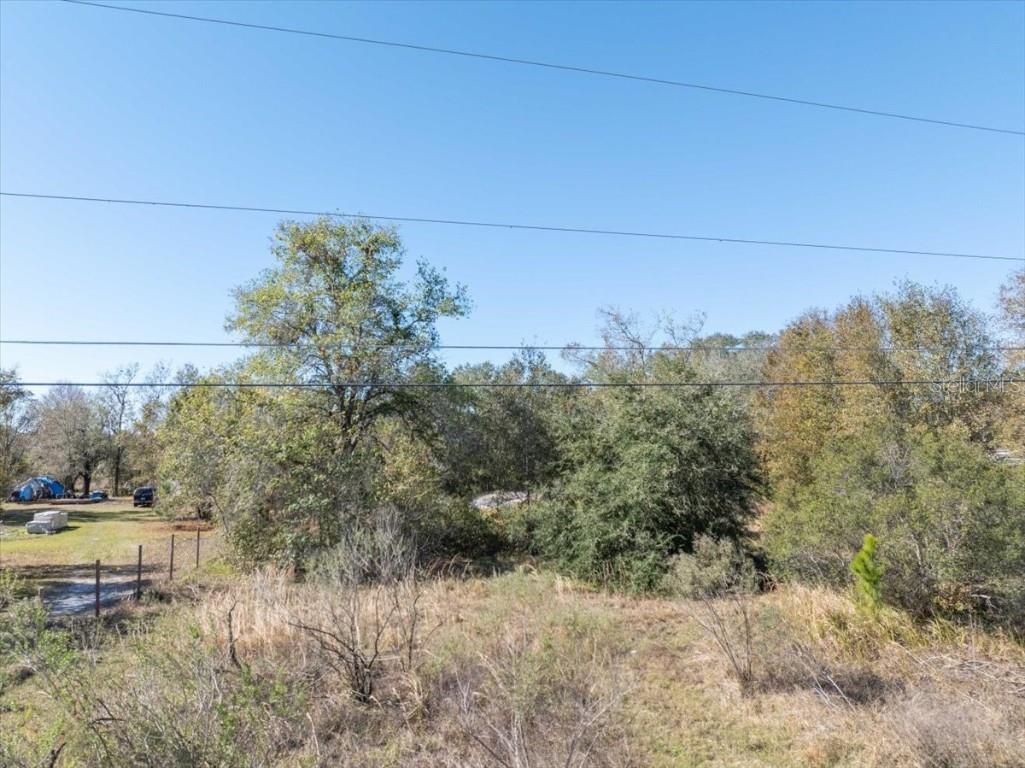 502 Wildlife Trail Lakeland FL 33809 L4953011 image6