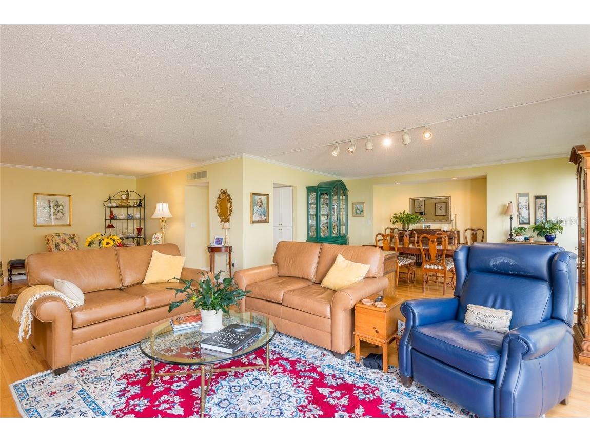 5020 Bayshore Boulevard #201 Tampa FL 33611 - HILLSBOROUGH BAY TB8450507 image11