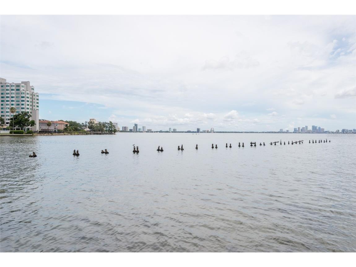 5020 Bayshore Boulevard #201 Tampa FL 33611 - HILLSBOROUGH BAY TB8450507 image31