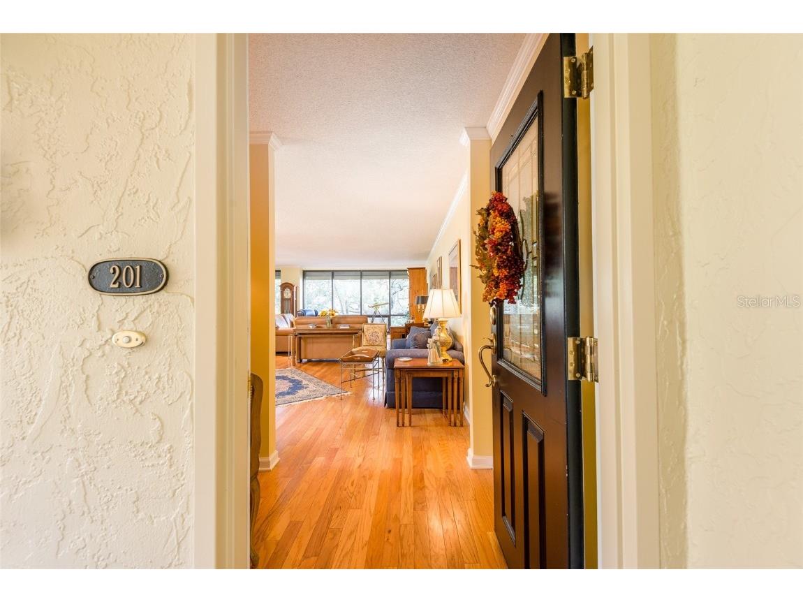 5020 Bayshore Boulevard #201 Tampa FL 33611 - HILLSBOROUGH BAY TB8450507 image5