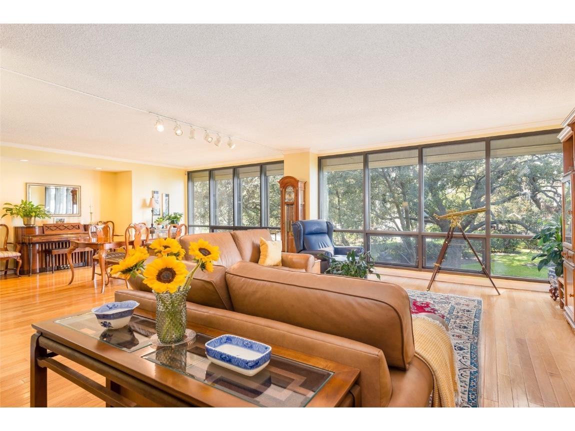 5020 Bayshore Boulevard #201 Tampa FL 33611 - HILLSBOROUGH BAY TB8450507 image8